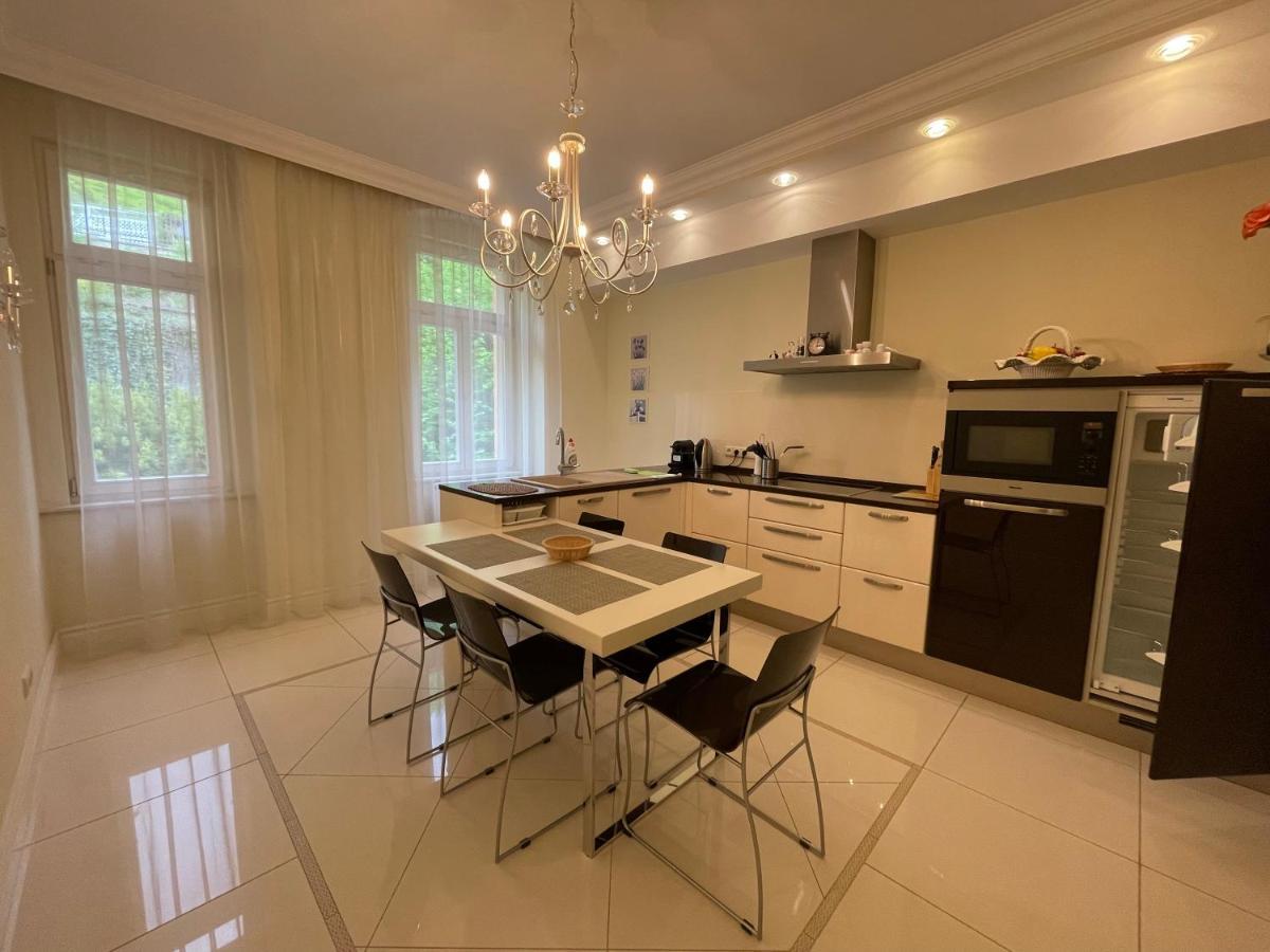 Apartma Premium Карловы Вары Экстерьер фото